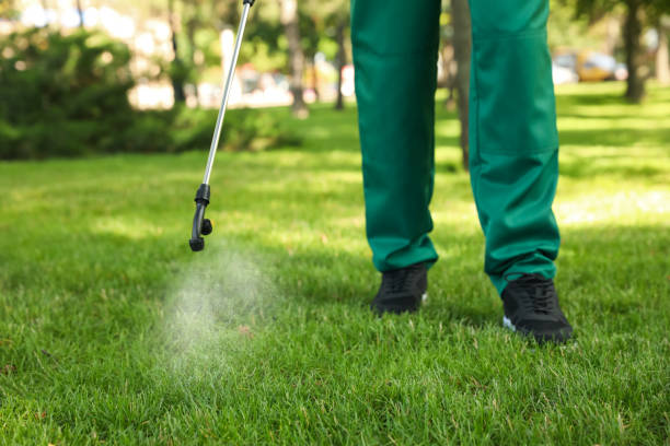 Best Pest Control Treatment  in Sandusky, OH