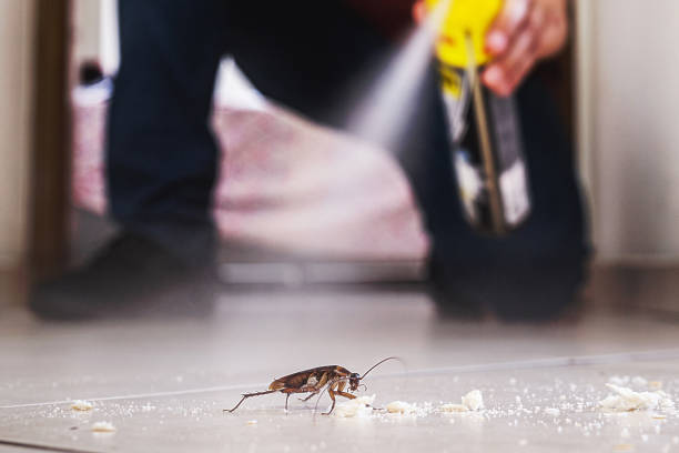 Best Mosquito Control Services  in Sandusky, OH