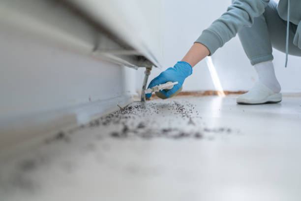 Best Pest Removal Services  in Sandusky, OH